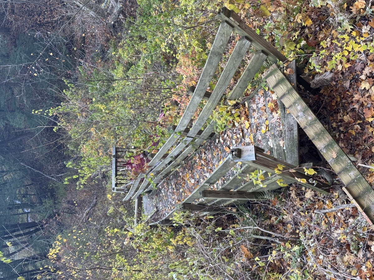 Damaged outdoor staircase and brush before cleanup